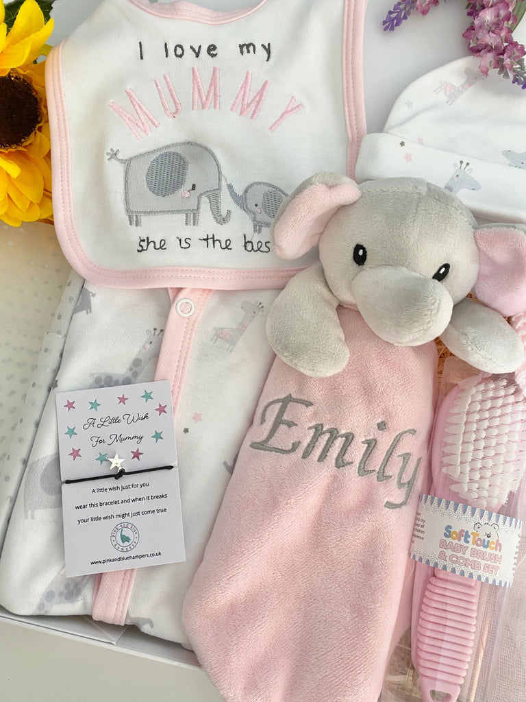 Maternity Gift Hamper - Love For Mummy - Pink and Blue Hampers