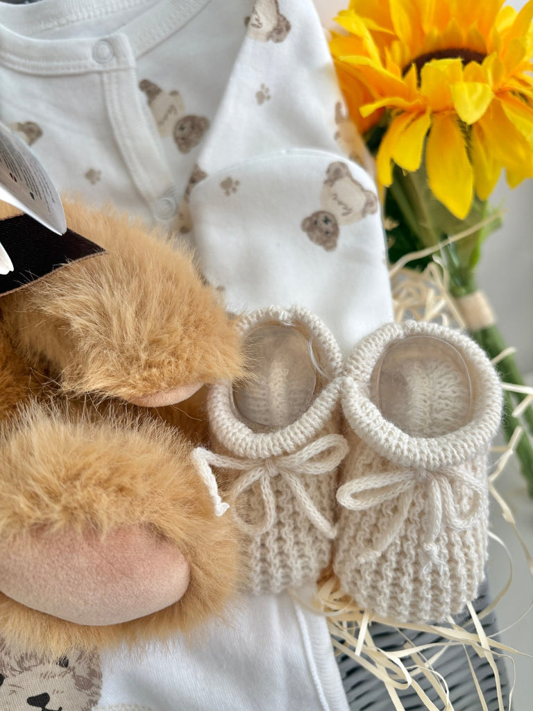Maternity Gift Hamper - Teddy Bear Snuggles - Pink and Blue Hampers