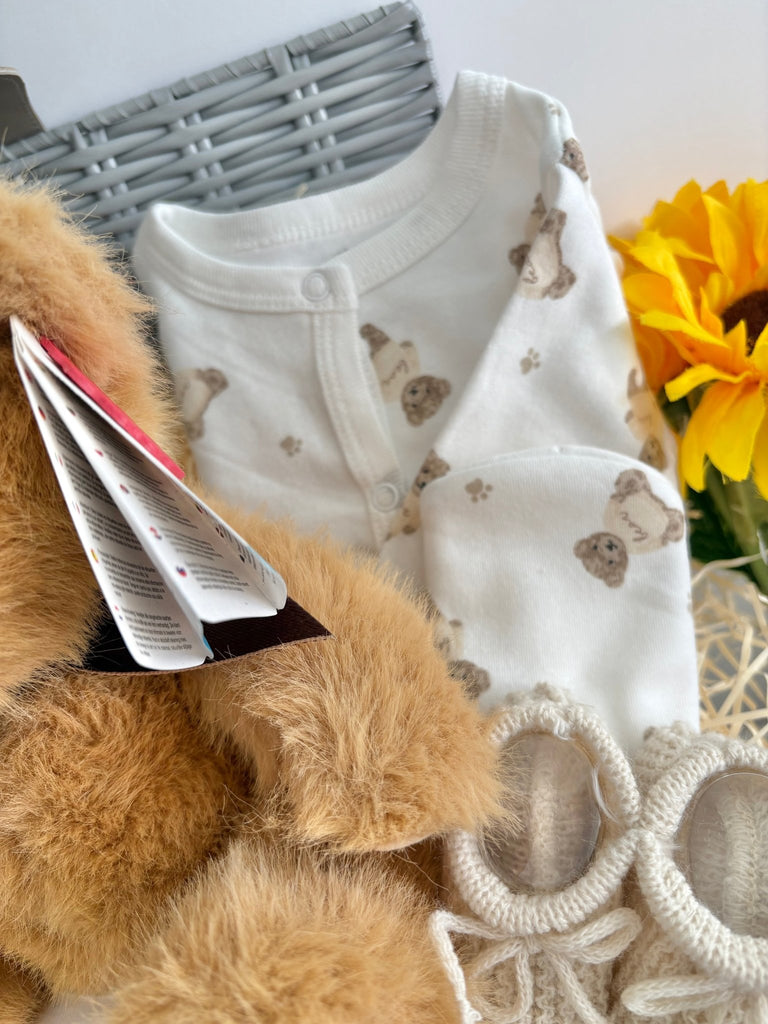 Maternity Gift Hamper - Teddy Bear Snuggles - Pink and Blue Hampers