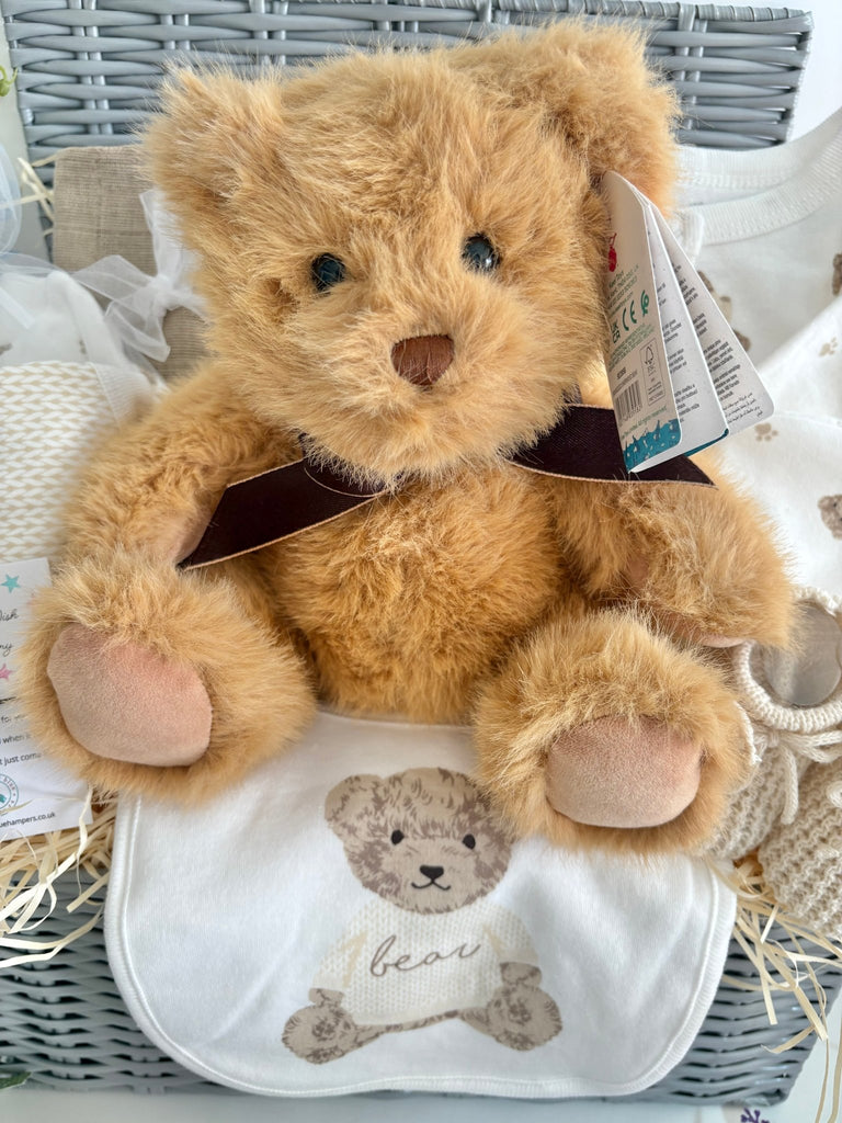 Maternity Gift Hamper - Teddy Bear Snuggles - Pink and Blue Hampers