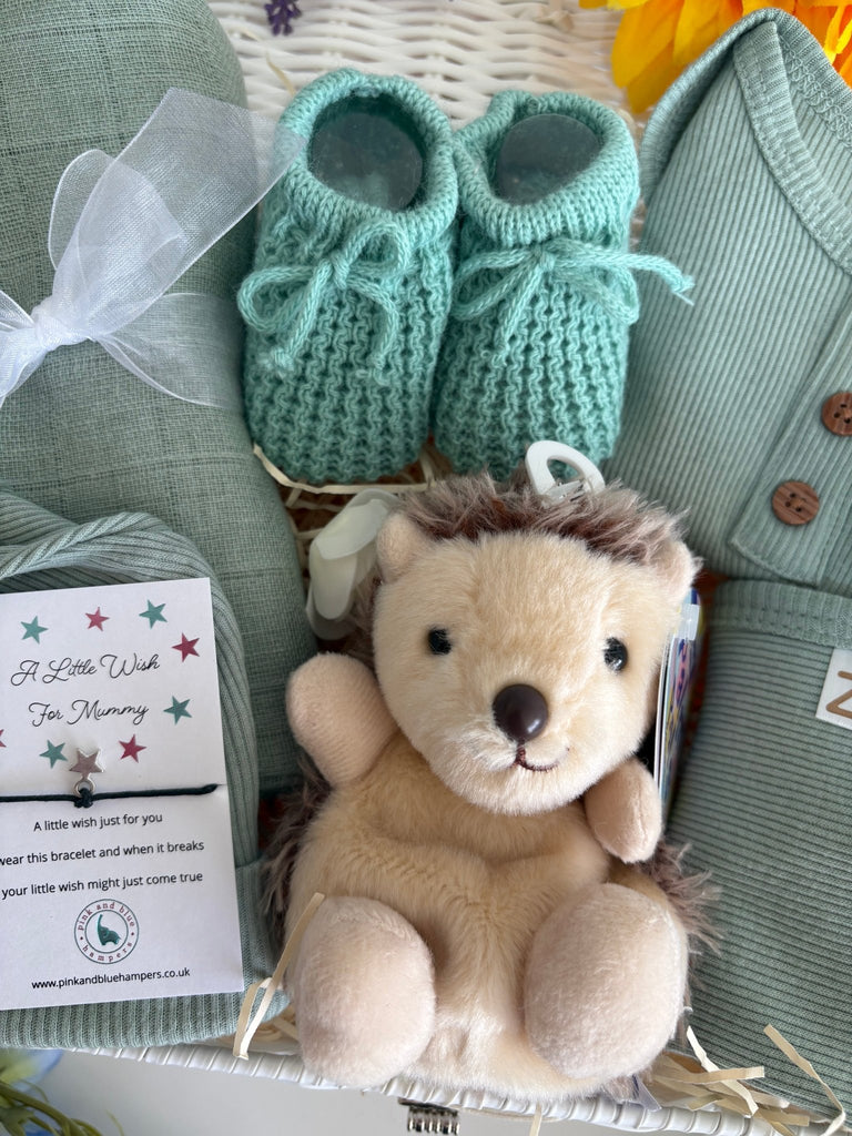 Maternity Gift Hamper - Woodland Snuggles - Pink and Blue Hampers