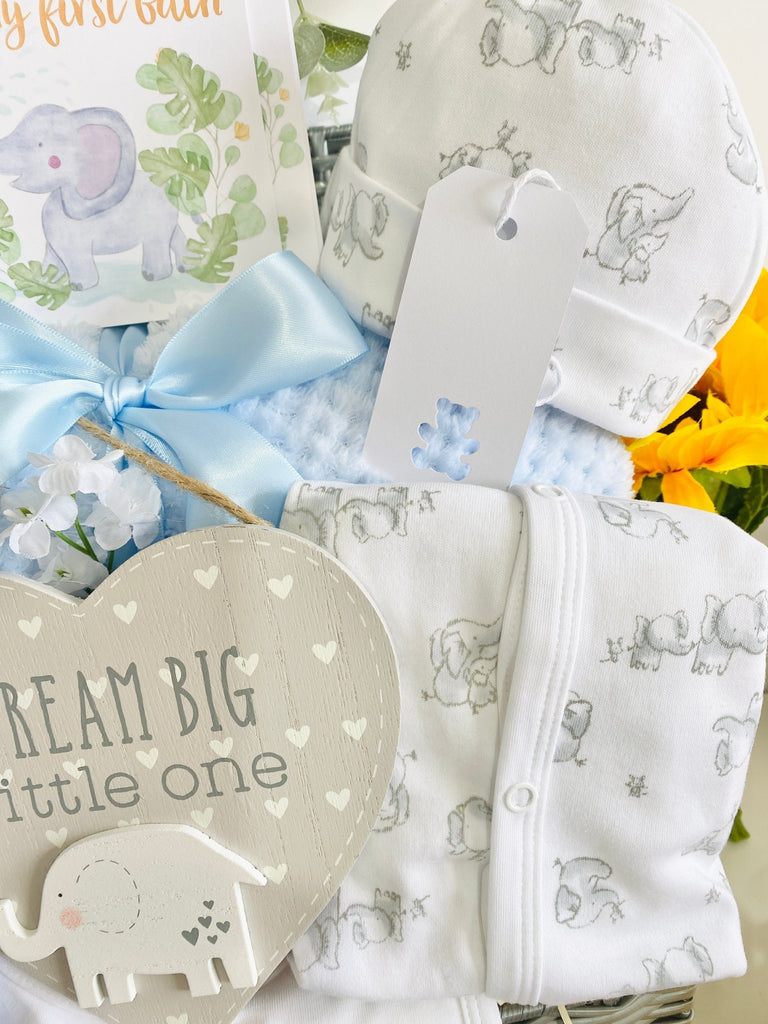 Maternity Gift - Splashing Elephant Fun - Pink and Blue Hampers