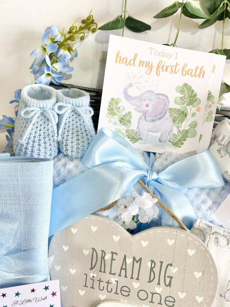 Maternity Gift - Splashing Elephant Fun - Pink and Blue Hampers
