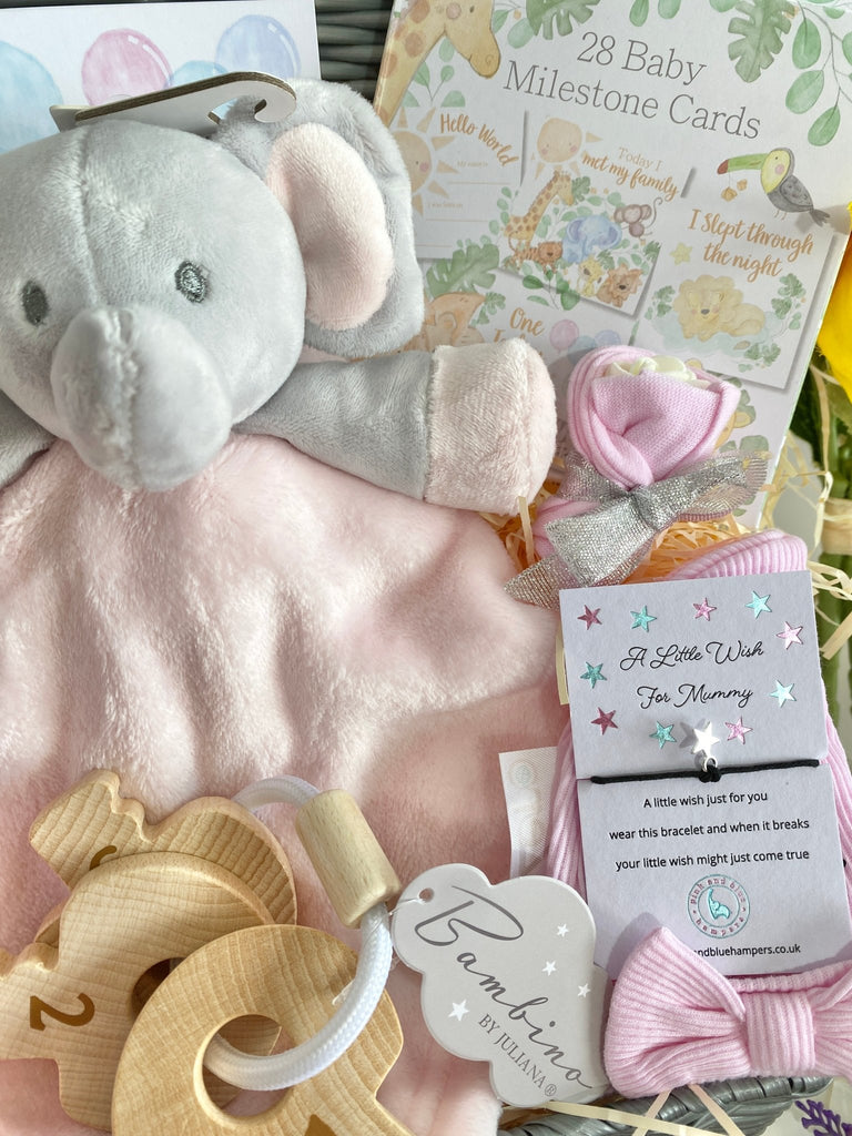 Mum To Be Baby Hamper - Count With Me - Pink and Blue Hampers