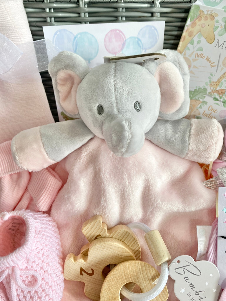 Mum To Be Baby Hamper - Count With Me - Pink and Blue Hampers