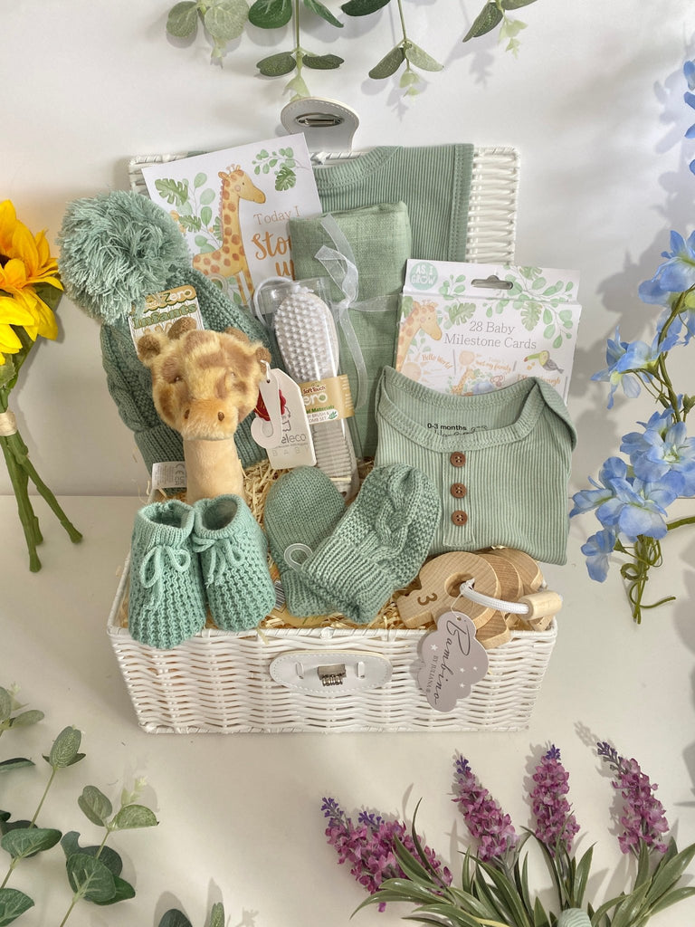 Mum To Be Baby Hamper - Stand Tall Baby - Pink and Blue Hampers