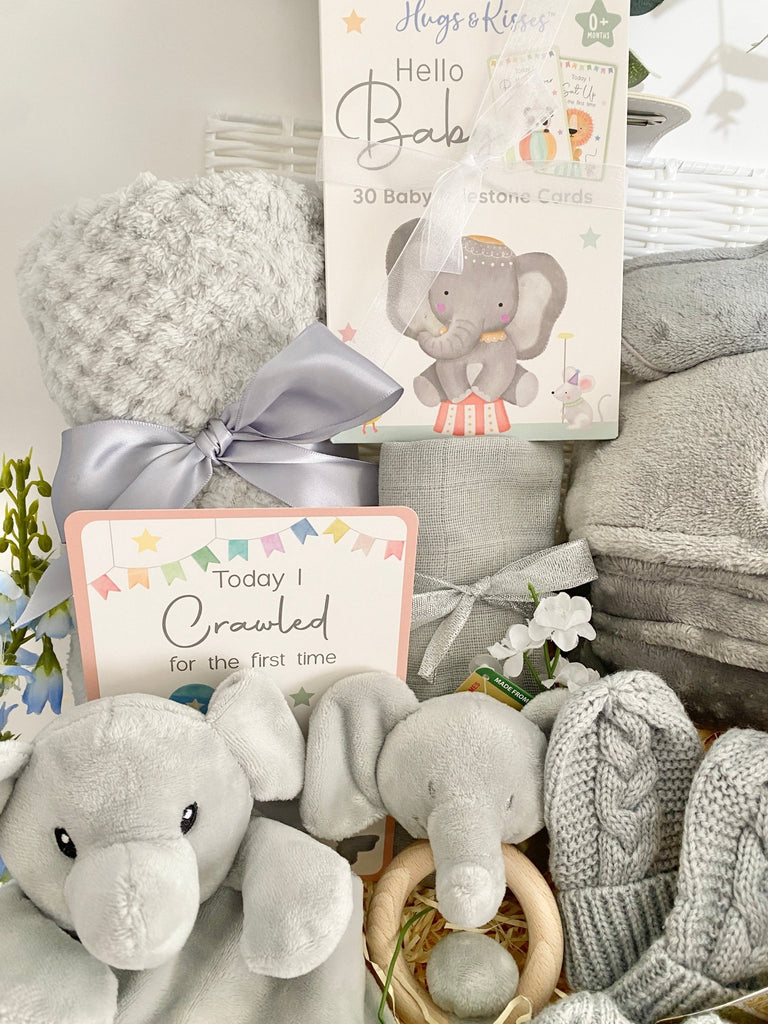 Mum To Be Hamper - Elephant Snuggles - Pink and Blue Hampers
