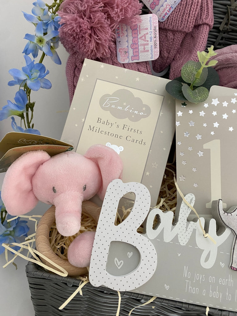 Mum To Be Hamper - Girlie Elephant Cuddles - Pink and Blue Hampers
