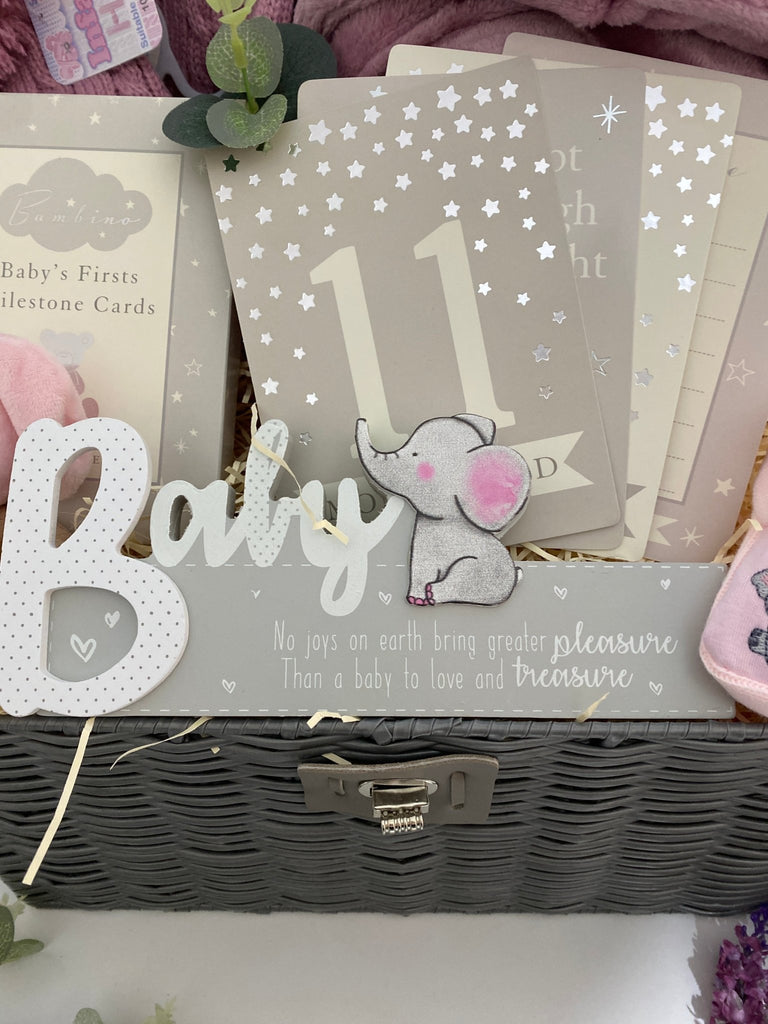 Mum To Be Hamper - Girlie Elephant Cuddles - Pink and Blue Hampers