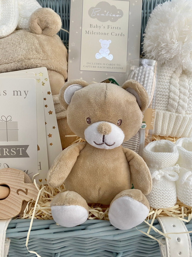 Mummy To Be Baby Hamper - Silver Teddy - Pink and Blue Hampers
