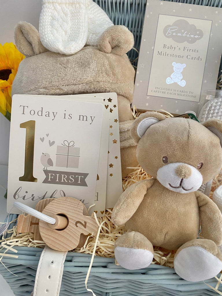 Mummy To Be Baby Hamper - Silver Teddy - Pink and Blue Hampers