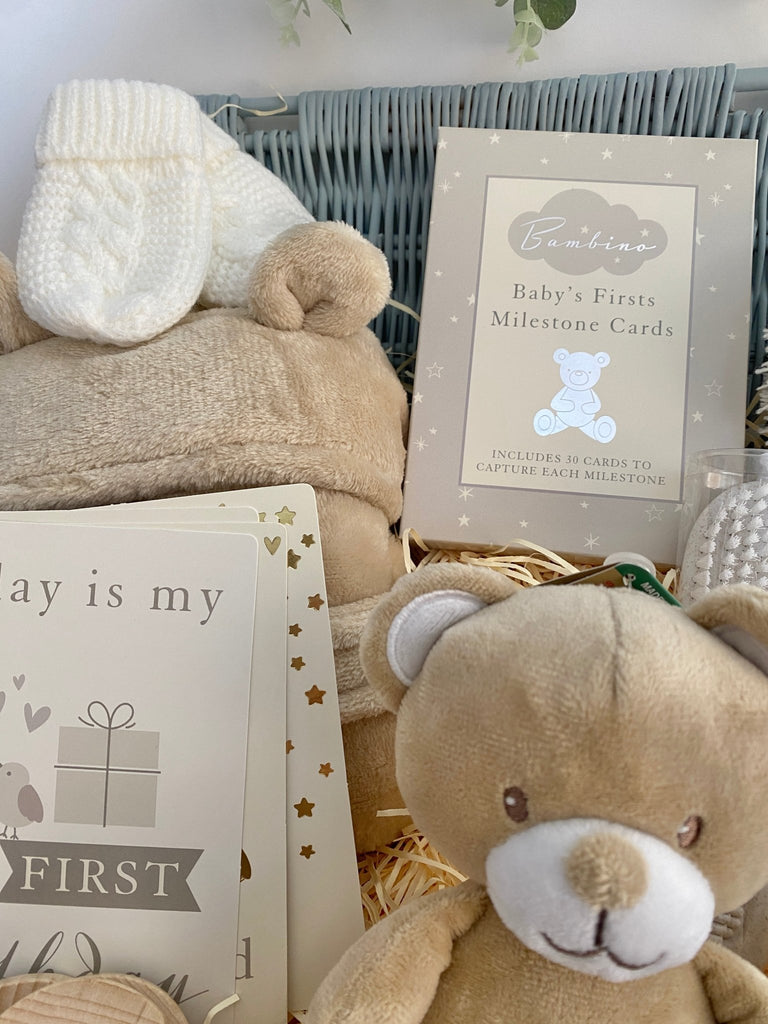 Mummy To Be Baby Hamper - Silver Teddy - Pink and Blue Hampers