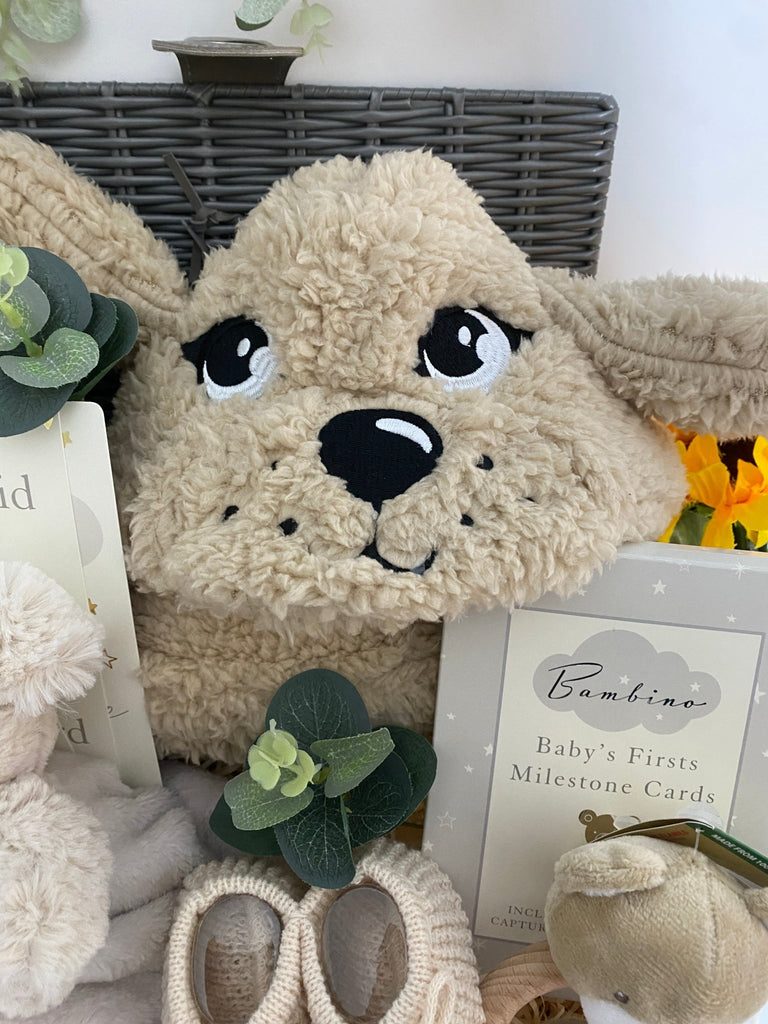 Mummy To Be Gift - Perfect Puppy Snuggles - Pink and Blue Hampers