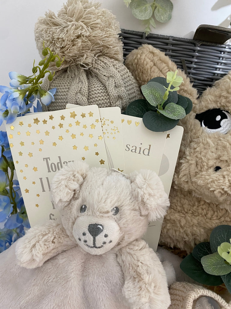 Mummy To Be Gift - Perfect Puppy Snuggles - Pink and Blue Hampers