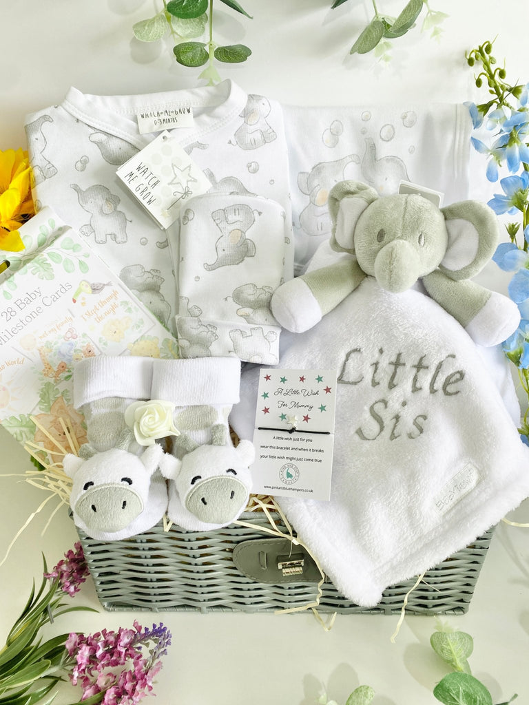 Mummy To Be Hamper - Safari Snuggles - Pink and Blue Hampers