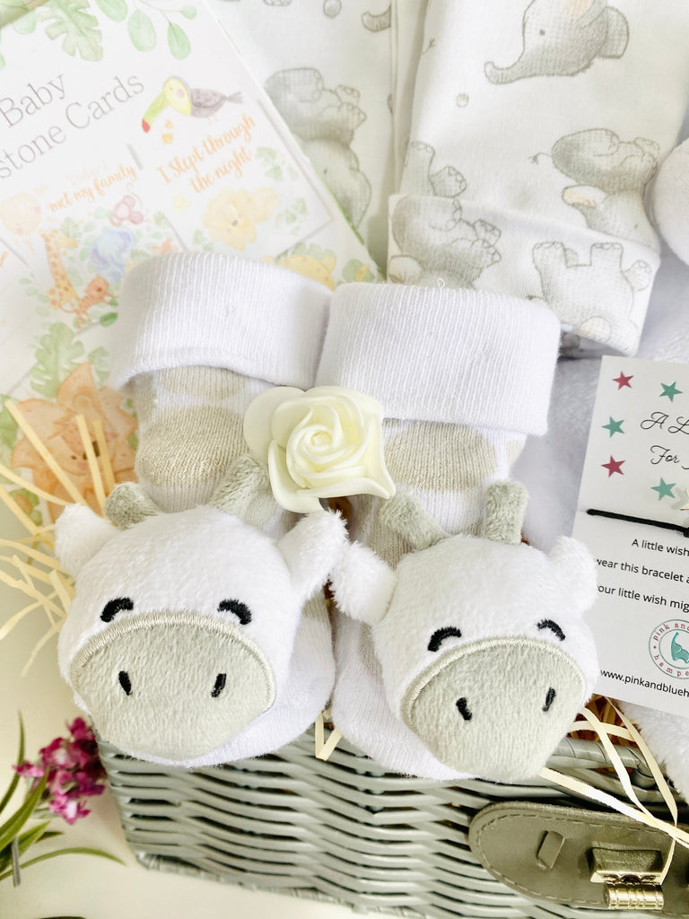 Mummy To Be Hamper - Safari Snuggles - Pink and Blue Hampers