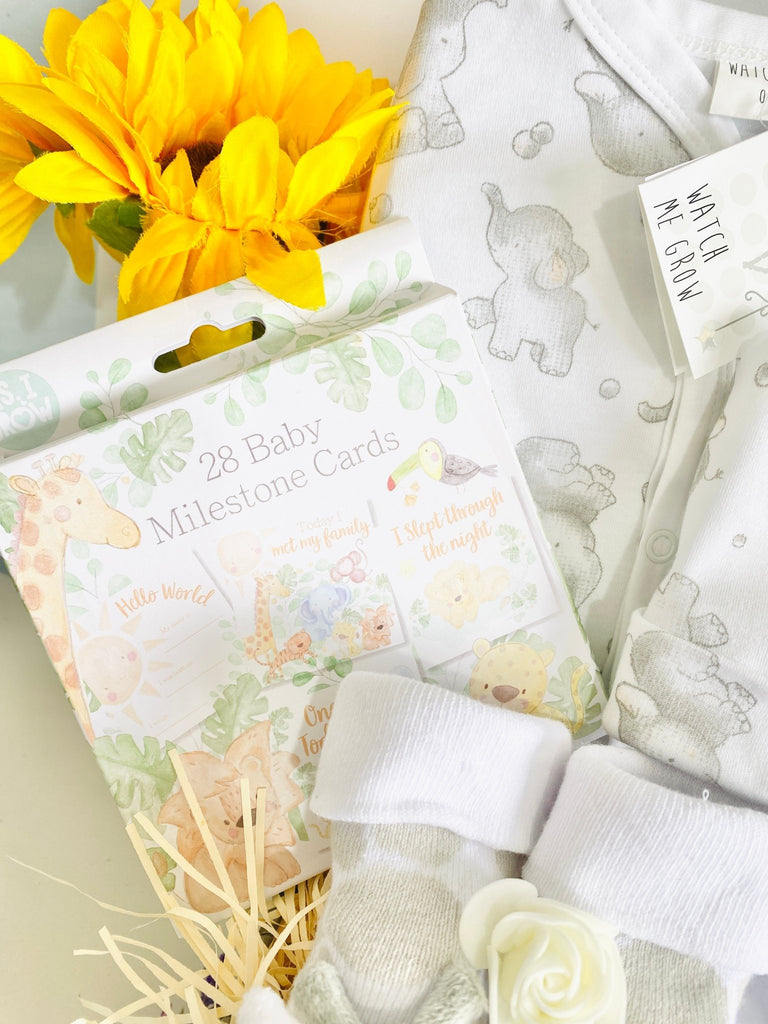 Mummy To Be Hamper - Safari Snuggles - Pink and Blue Hampers