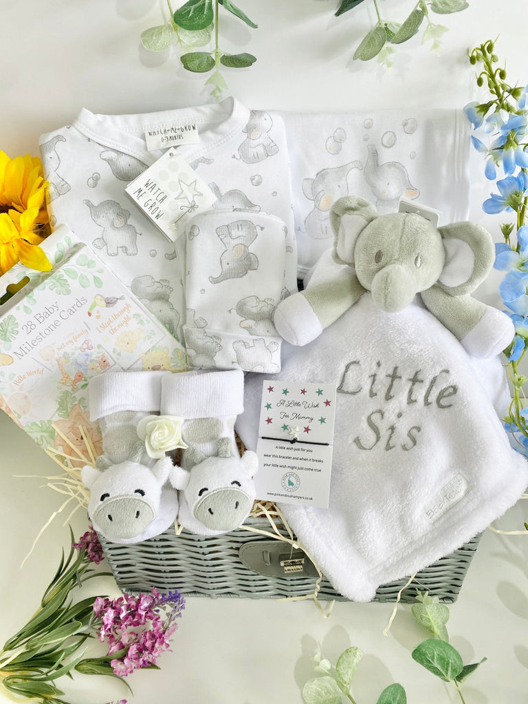Mummy To Be Hamper - Safari Snuggles - Pink and Blue Hampers