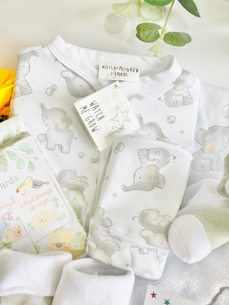 Mummy To Be Hamper - Safari Snuggles - Pink and Blue Hampers