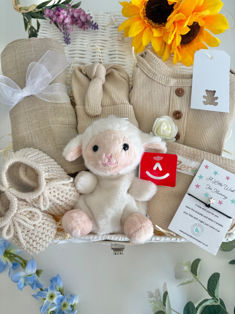 New Baby Gift Basket - Woolly Wishes - Pink and Blue Hampers