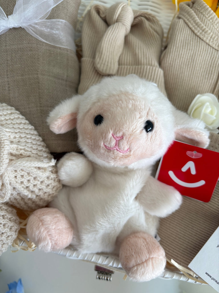 New Baby Gift Basket - Woolly Wishes - Pink and Blue Hampers