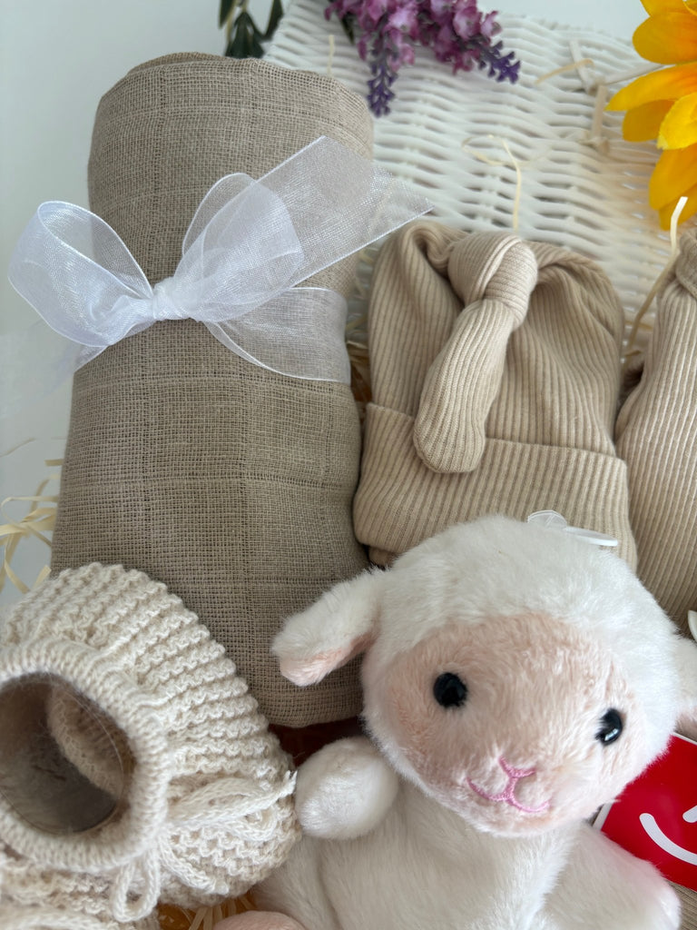 New Baby Gift Basket - Woolly Wishes - Pink and Blue Hampers