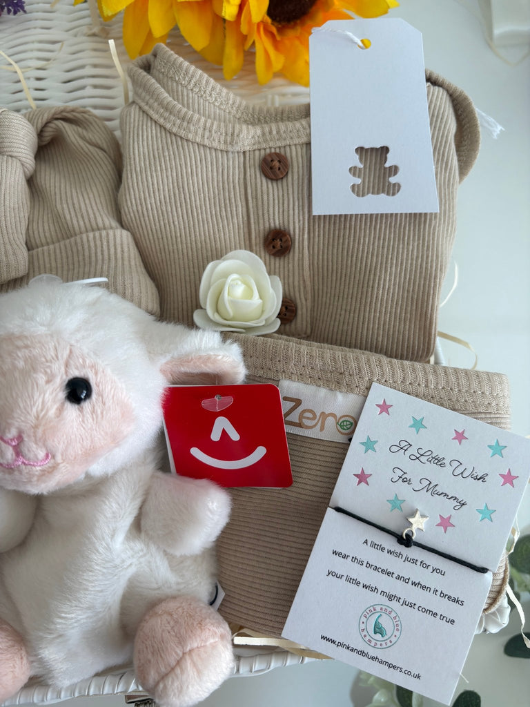 New Baby Gift Basket - Woolly Wishes - Pink and Blue Hampers