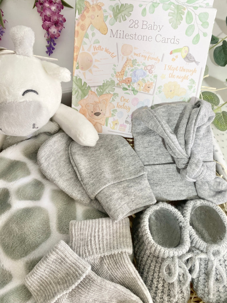 New Baby Gift Box - Jungle Giraffe - Pink and Blue Hampers