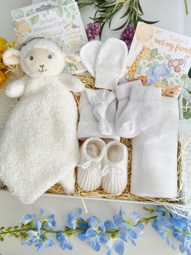 New Baby Gift Hamper - Cuddly Sweet Lamb - Pink and Blue Hampers