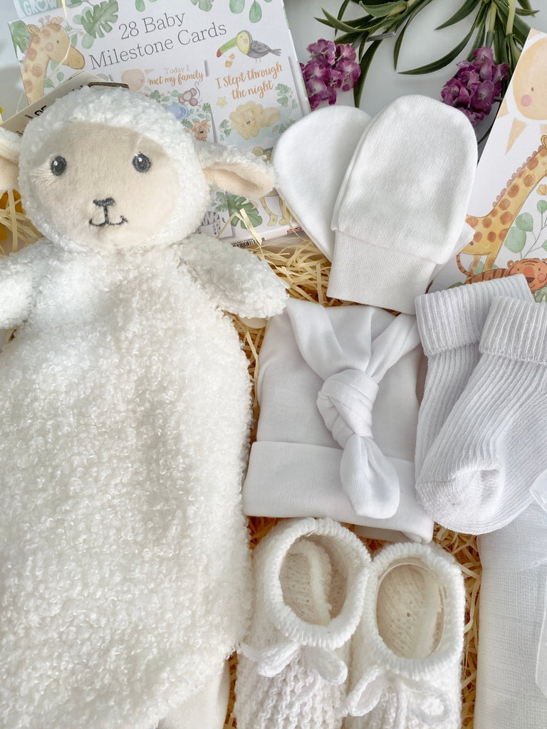 New Baby Gift Hamper - Cuddly Sweet Lamb - Pink and Blue Hampers