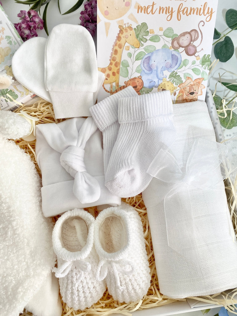 New Baby Gift Hamper - Cuddly Sweet Lamb - Pink and Blue Hampers