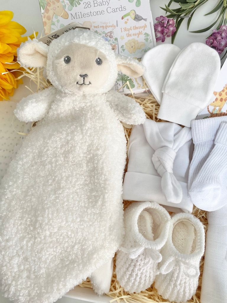 New Baby Gift Hamper - Cuddly Sweet Lamb - Pink and Blue Hampers