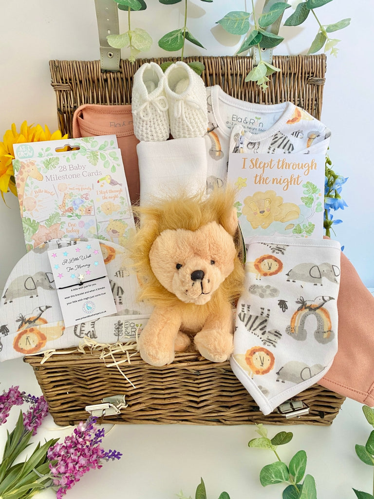 New Baby Gift Hamper - Rainbow Roars - Pink and Blue Hampers