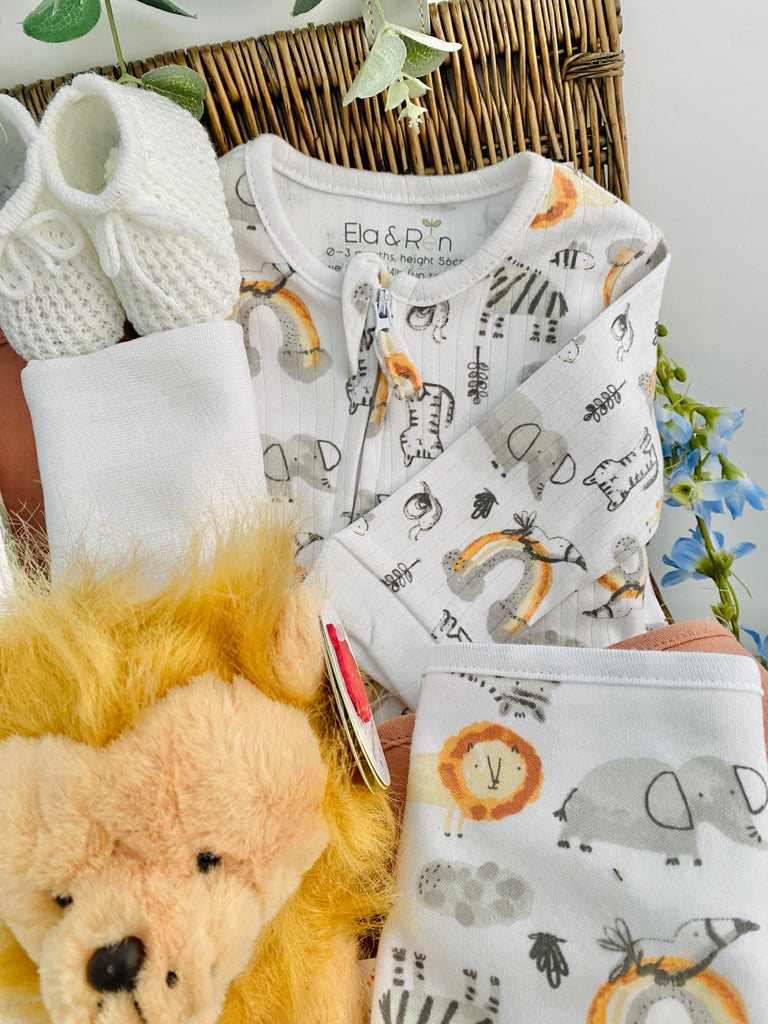 New Baby Gift Hamper - Rainbow Roars - Pink and Blue Hampers