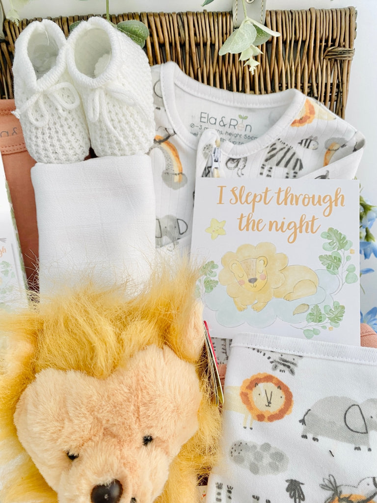 New Baby Gift Hamper - Rainbow Roars - Pink and Blue Hampers