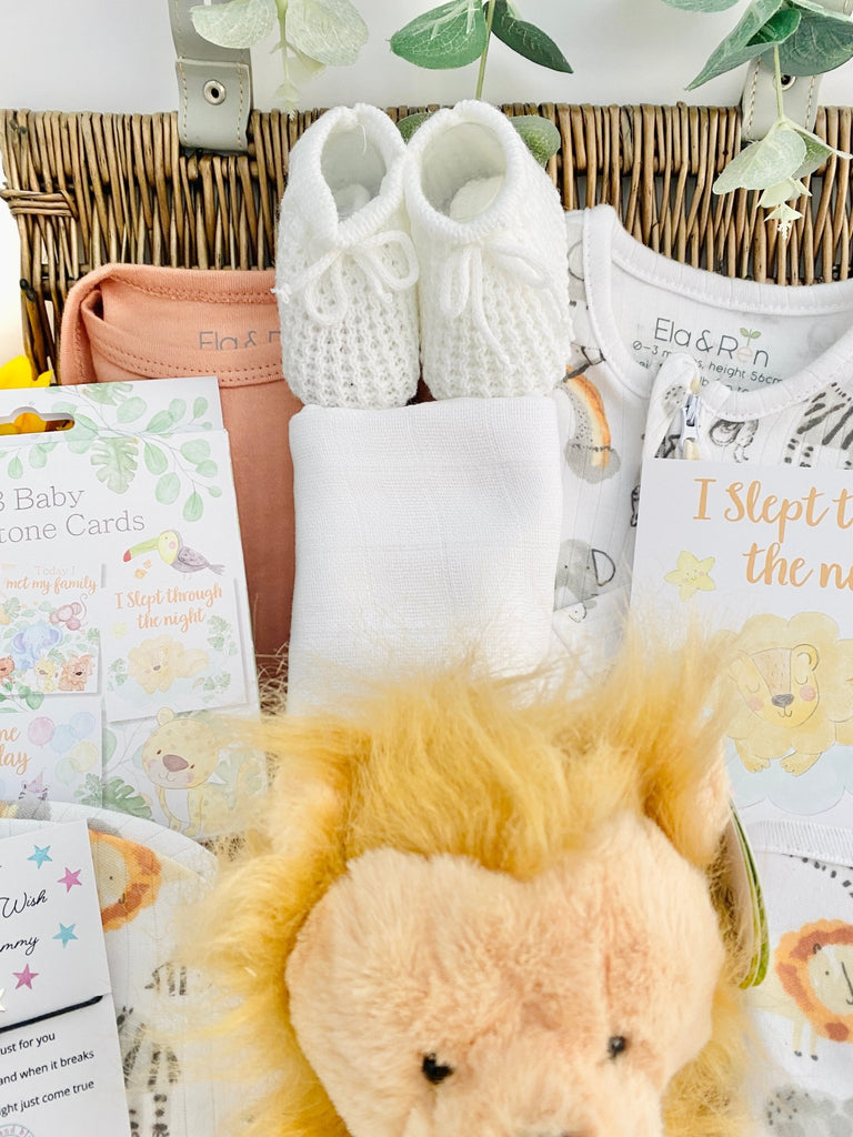 New Baby Gift Hamper - Rainbow Roars - Pink and Blue Hampers