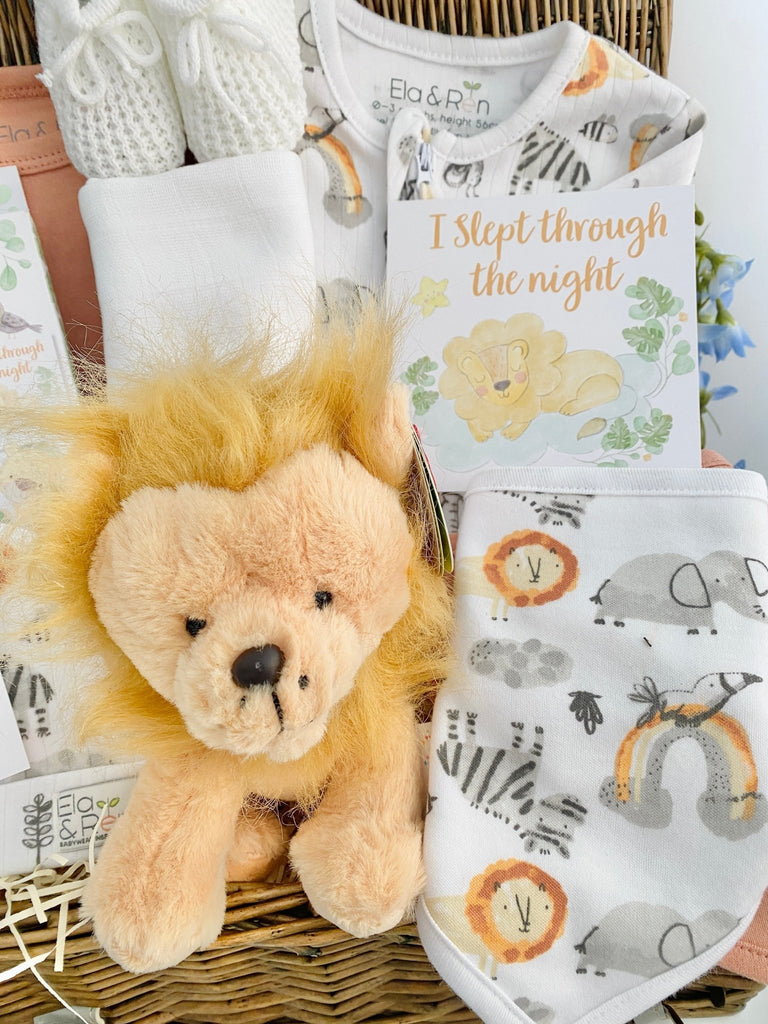 New Baby Gift Hamper - Rainbow Roars - Pink and Blue Hampers