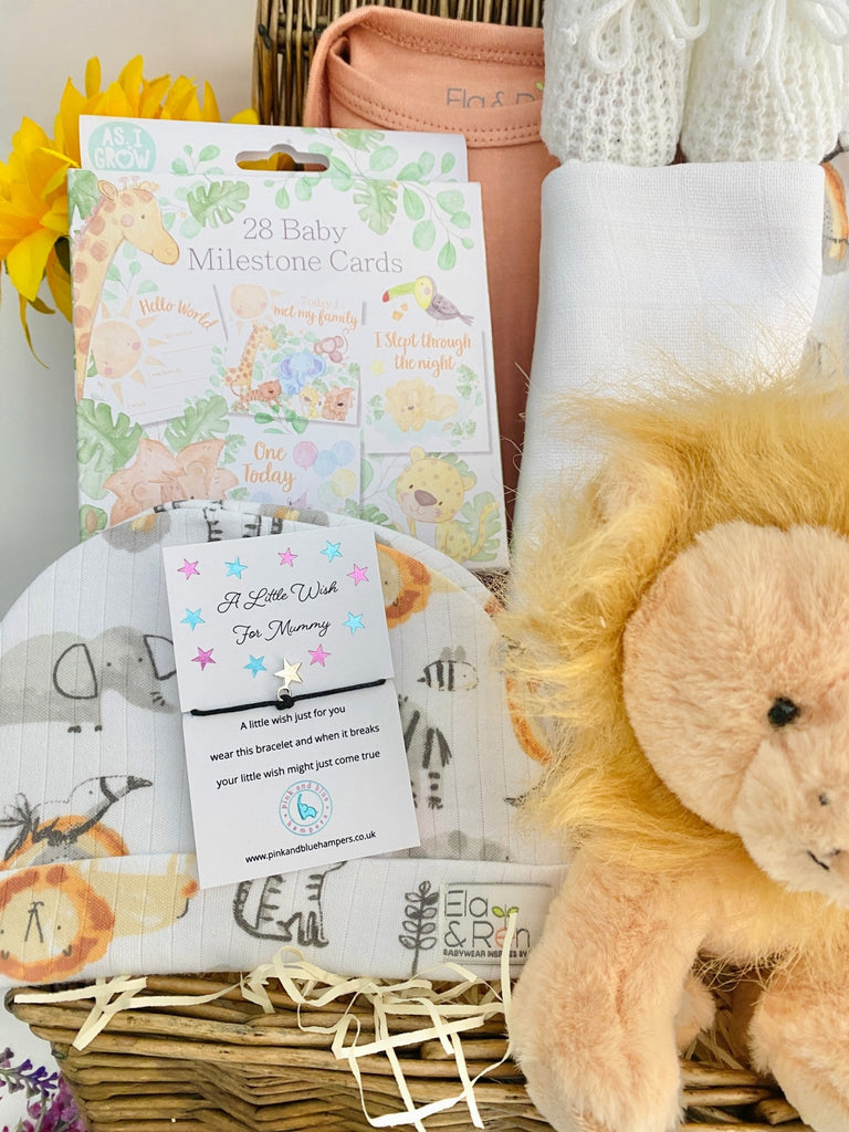 New Baby Gift Hamper - Rainbow Roars - Pink and Blue Hampers