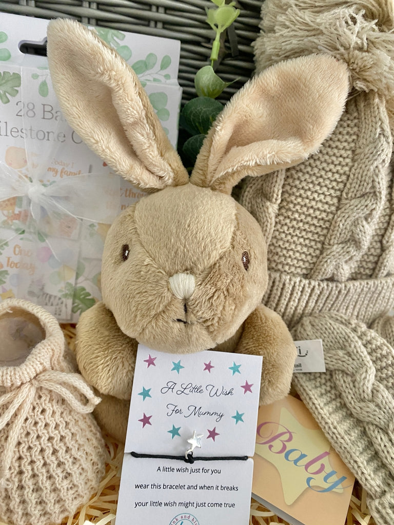 New Baby Gift - My Little Bunny - Pink and Blue Hampers