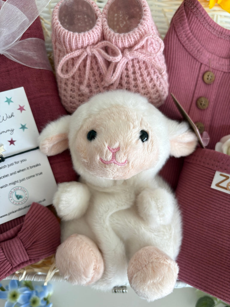 New Baby Girl Gift - Lamby Love - Pink and Blue Hampers