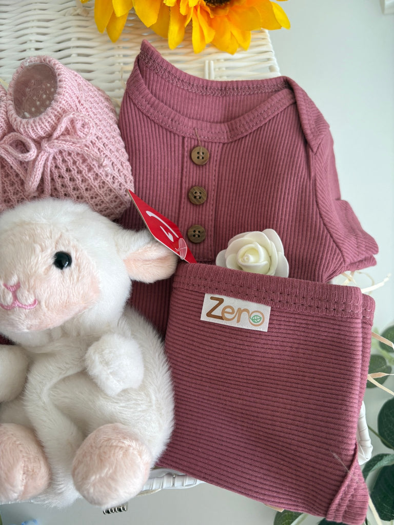 New Baby Girl Gift - Lamby Love - Pink and Blue Hampers