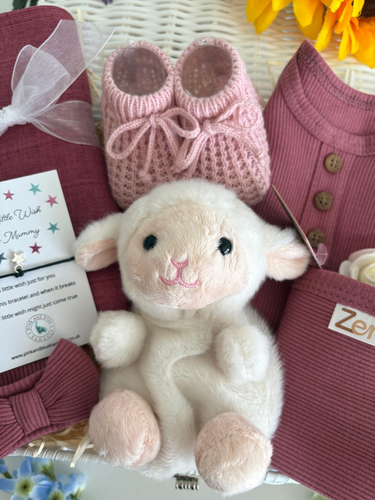 New Baby Girl Gift - Lamby Love - Pink and Blue Hampers