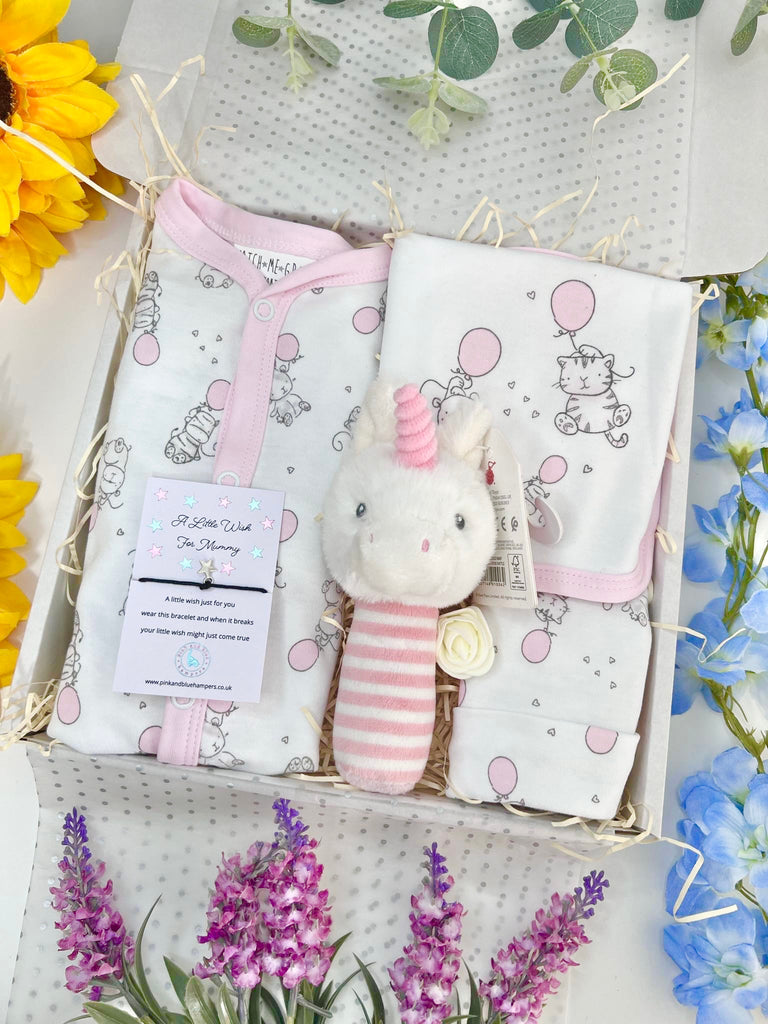 New Baby Girl Hamper Box - Pink Balloons & Animal Friends - Pink and Blue Hampers