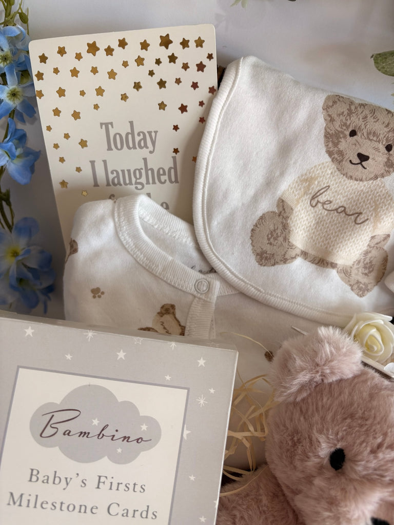New Mum Baby Gift Basket - Teddy Bear Friends - Pink and Blue Hampers