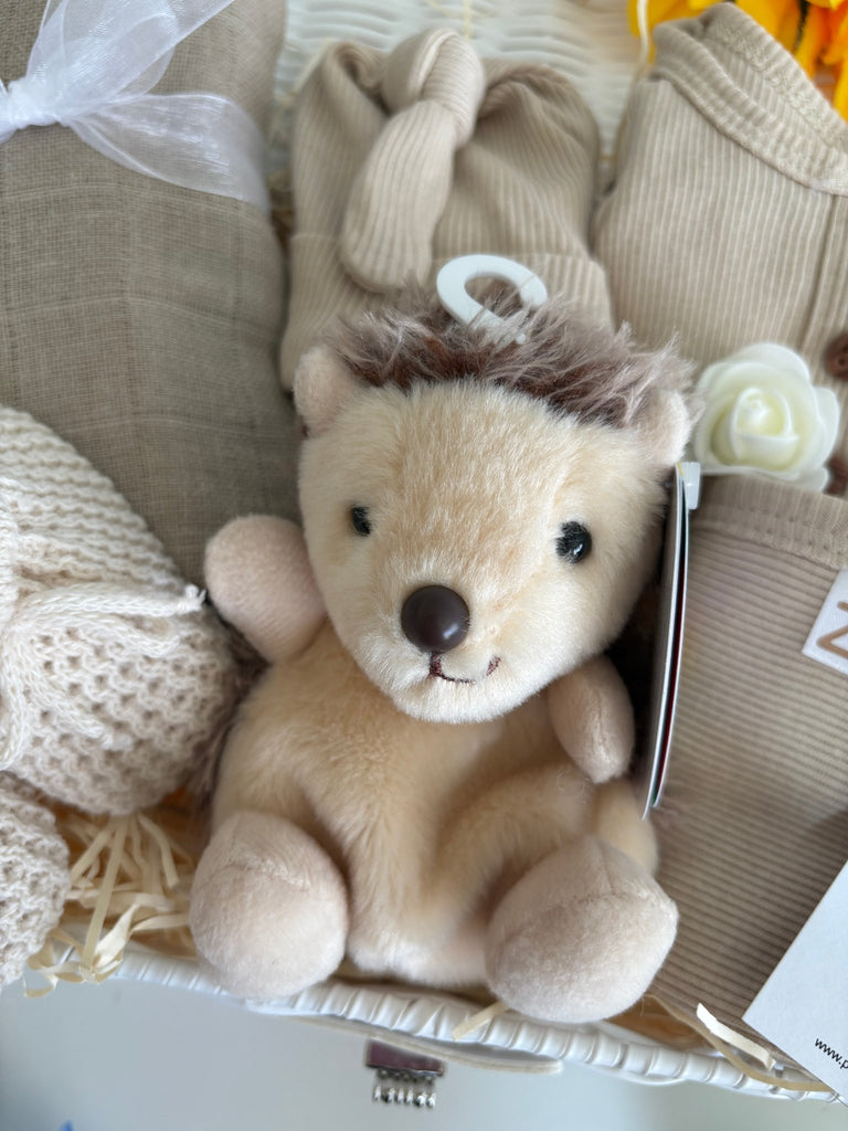 New Mum Baby Gift - Cheerful Bundle - Pink and Blue Hampers