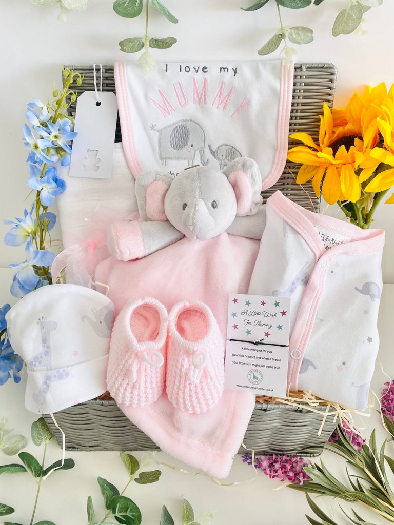 New Mum Hamper - Big Cuddles - Pink and Blue Hampers