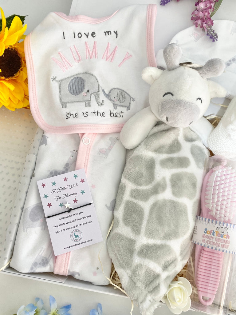 New Mummy Gift - I Love My Mummy - Pink and Blue Hampers