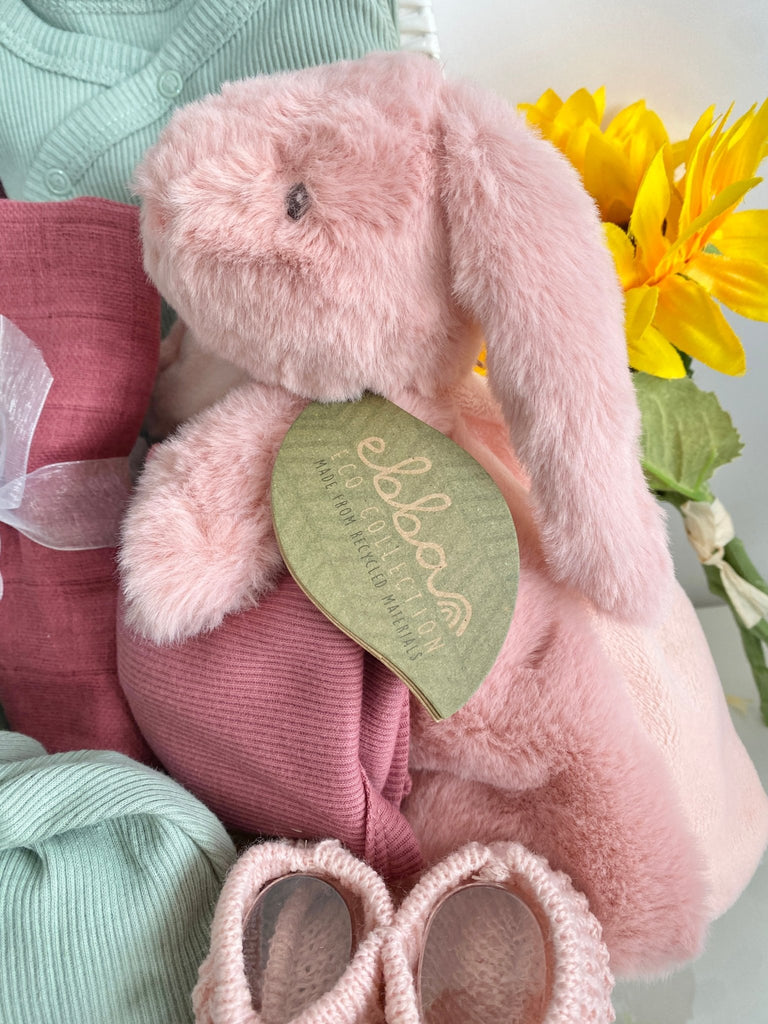 Twin Baby Basket - Bunny & Dino - Pink and Blue Hampers