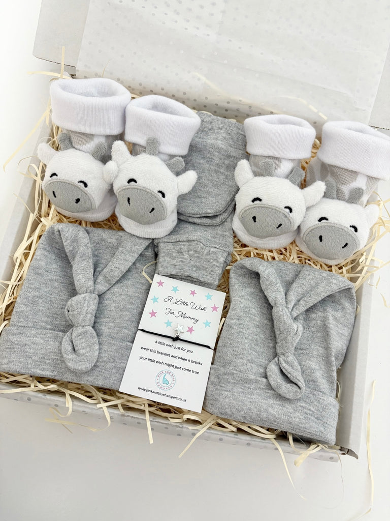 Twin Unisex Baby Gift Set - Personalised Twin Hamper - Pink and Blue Hampers