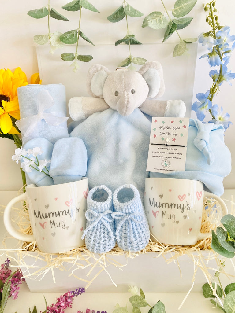 Two Mummies Baby Gift - Wishes For My Mummies - Pink and Blue Hampers